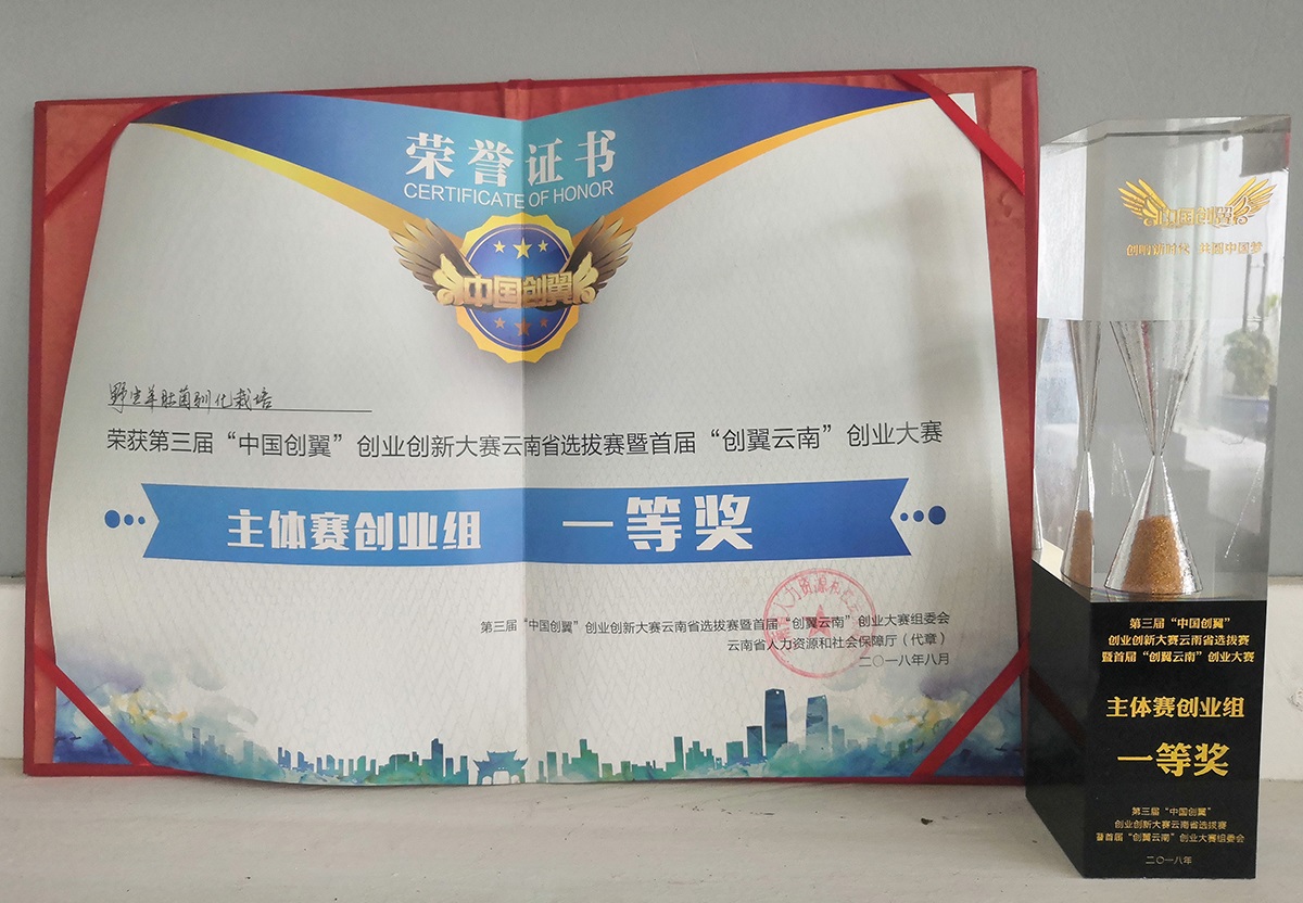 �й����� Ұ����Ǿ�ѱ������1.jpg